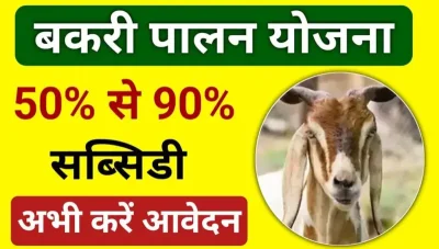 Govt Bakri Palan Yojana: पशुपालन बिजनेस करने के लिए सरकार दे रही है 50 लाख रुपए की नगद सहायता राशि